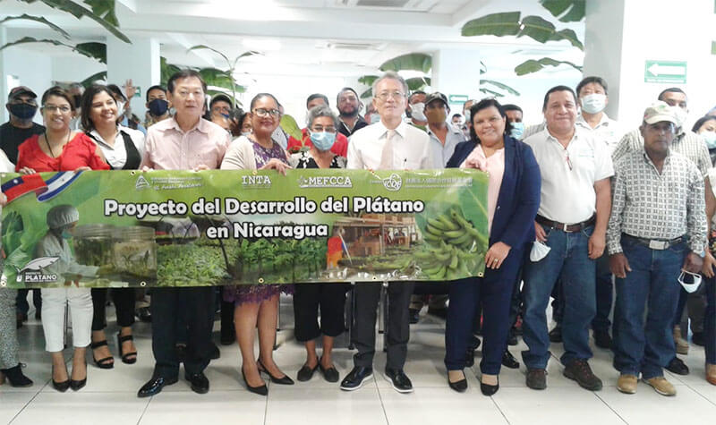 proyecto-platano-inta-taiwan